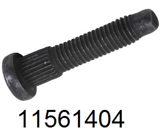 GM 11561404