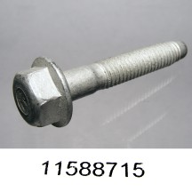 11588715 image