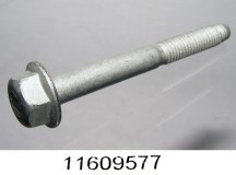 11609577 image